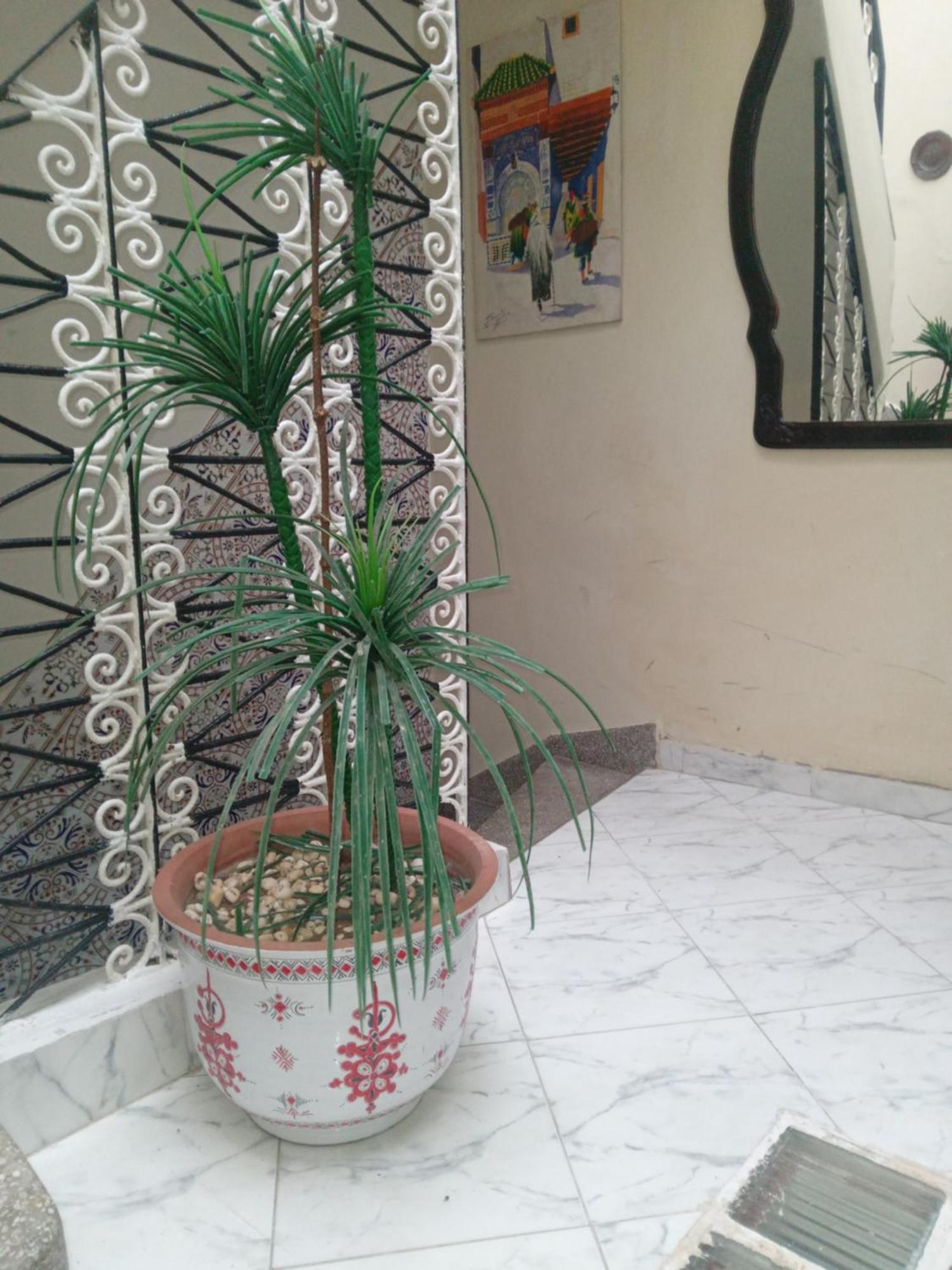 Riad Kamal Rabat Ngoại thất bức ảnh